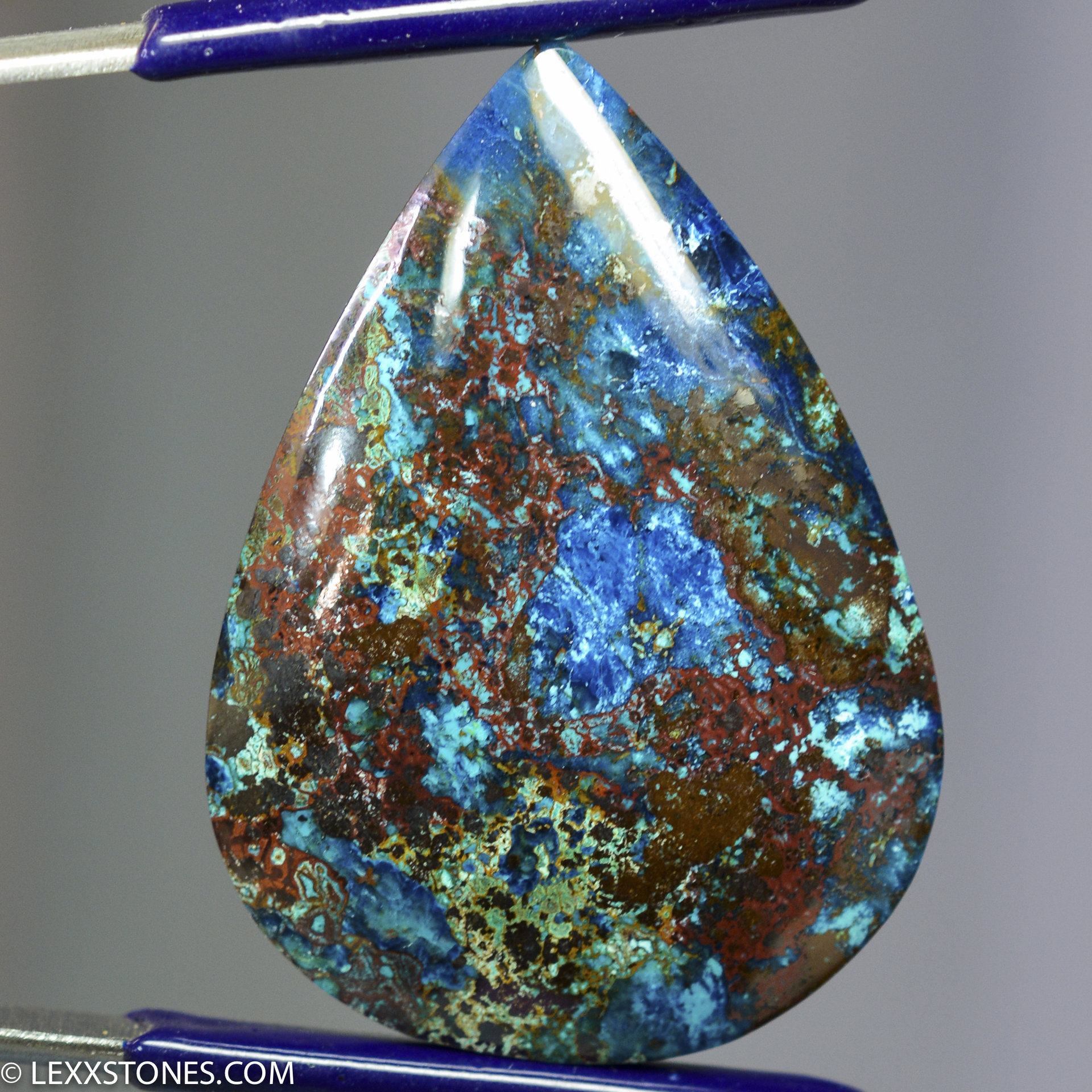 Parrot Wing Chrysocolla Lexx Stones | Lexx Stones